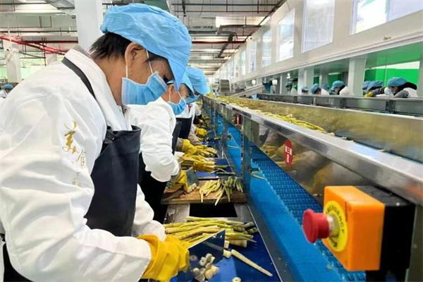 交易真相,揭秘选择交易周期的三大核心要素