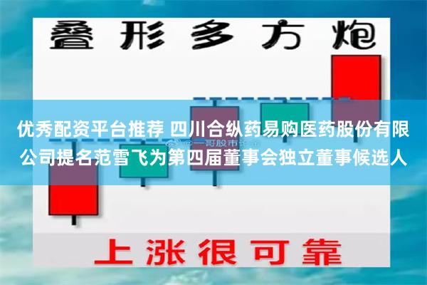 优秀配资平台推荐 四川合纵药易购医药股份有限公司提名范雪飞为第四届董事会独立董事候选人