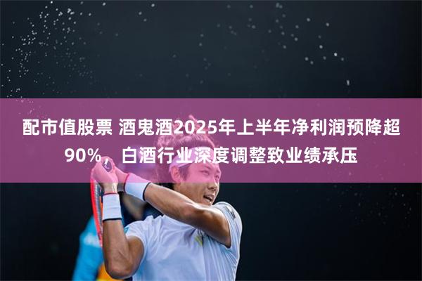 配市值股票 酒鬼酒2025年上半年净利润预降超90%，白酒行业深度调整致业绩承压