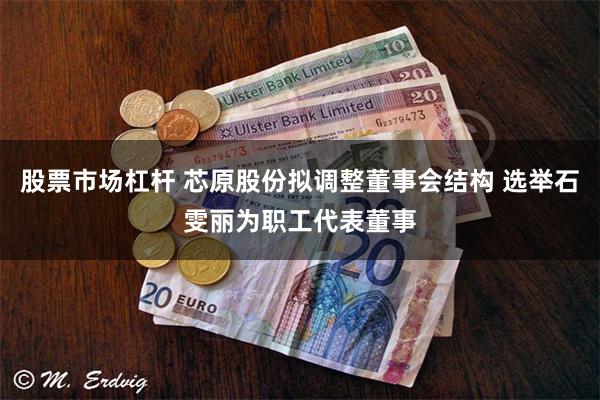 股票市场杠杆 芯原股份拟调整董事会结构 选举石雯丽为职工代表董事