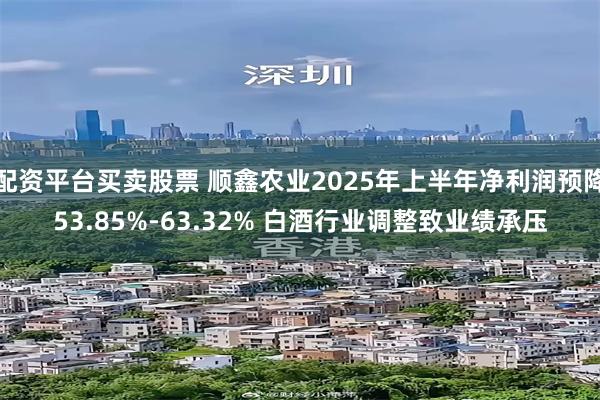 配资平台买卖股票 顺鑫农业2025年上半年净利润预降53.85%-63.32% 白酒行业调整致业绩承压