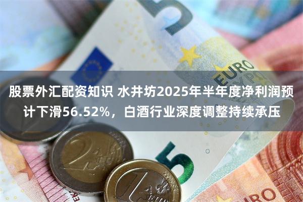 股票外汇配资知识 水井坊2025年半年度净利润预计下滑56.52%，白酒行业深度调整持续承压
