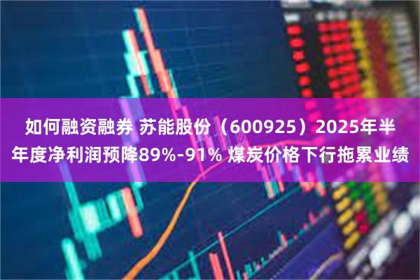 如何融资融券 苏能股份（600925）2025年半年度净利润预降89%-91% 煤炭价格下行拖累业绩
