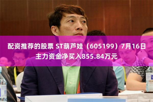 配资推荐的股票 ST葫芦娃（605199）7月16日主力资金净买入855.84万元