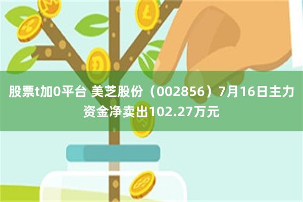 股票t加0平台 美芝股份（002856）7月16日主力资金净卖出102.27万元