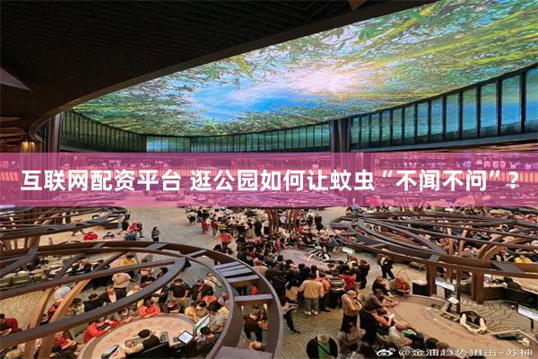 互联网配资平台 逛公园如何让蚊虫“不闻不问”？
