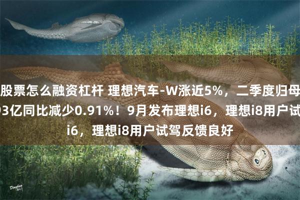 股票怎么融资杠杆 理想汽车-W涨近5%，二季度归母净利润10.93亿同比减少0.91%！9月发布理想i6，理想i8用户试驾反馈良好