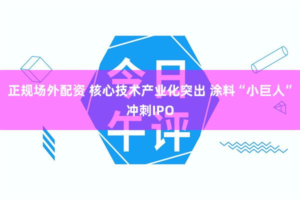 正规场外配资 核心技术产业化突出 涂料“小巨人”冲刺IPO