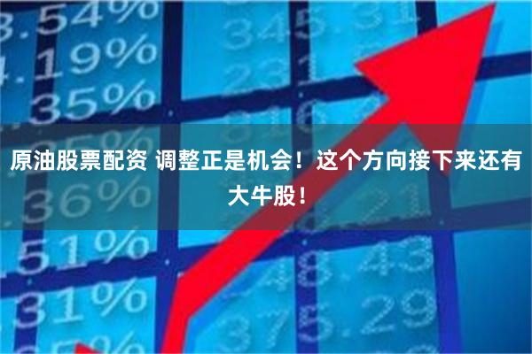 原油股票配资 调整正是机会!这个方向接下来还有大牛股!