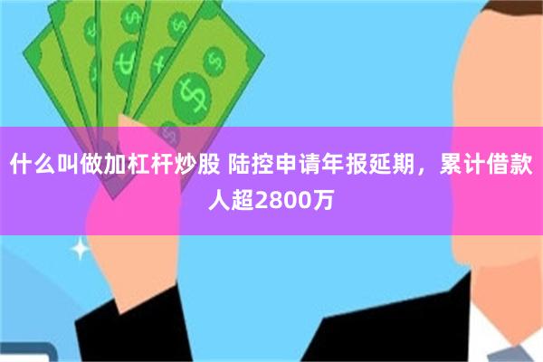 什么叫做加杠杆炒股 陆控申请年报延期，累计借款人超2800万