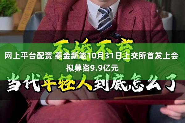 网上平台配资 泰金新能10月31日上交所首发上会 拟募资9.9亿元
