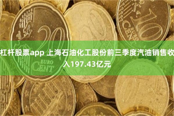 杠杆股票app 上海石油化工股份前三季度汽油销售收入197.43亿元
