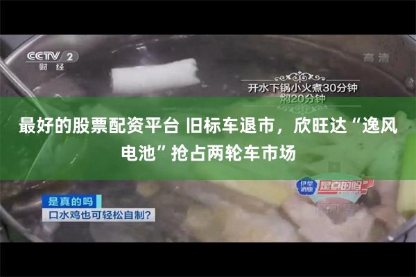最好的股票配资平台 旧标车退市，欣旺达“逸风电池”抢占两轮车市场