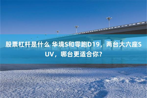 股票杠杆是什么 华境S和零跑D19，两台大六座SUV，哪台更适合你？