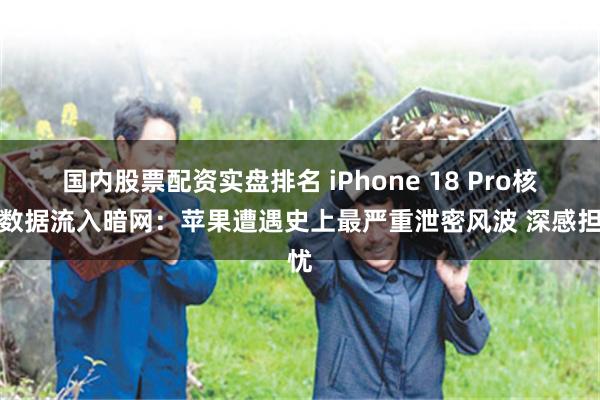 国内股票配资实盘排名 iPhone 18 Pro核心数据流入暗网：苹果遭遇史上最严重泄密风波 深感担忧