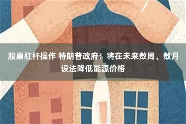 股票杠杆操作 特朗普政府：将在未来数周、数月设法降低能源价格