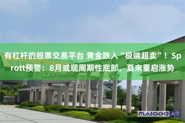 有杠杆的股票交易平台 黄金跌入“极端超卖”！Sprott预警：8月或现周期性底部，夏末重启涨势