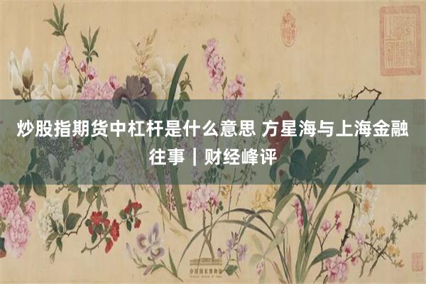 炒股指期货中杠杆是什么意思 方星海与上海金融往事｜财经峰评