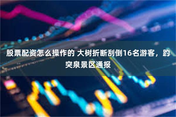 股票配资怎么操作的 大树折断刮倒16名游客，趵突泉景区通报