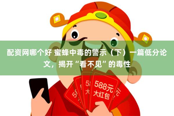 配资网哪个好 蜜蜂中毒的警示（下）一篇低分论文，揭开“看不见”的毒性