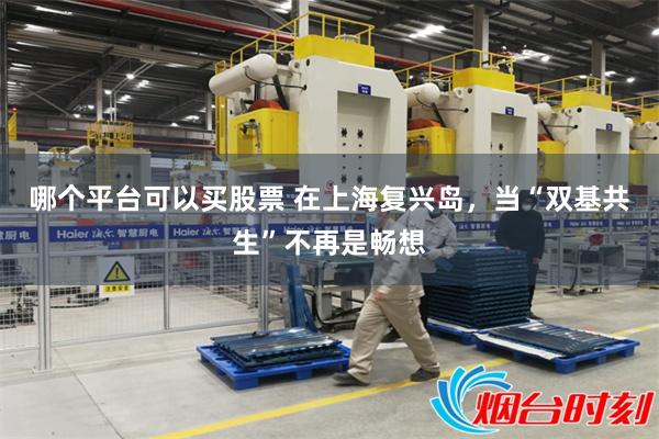 哪个平台可以买股票 在上海复兴岛，当“双基共生”不再是畅想