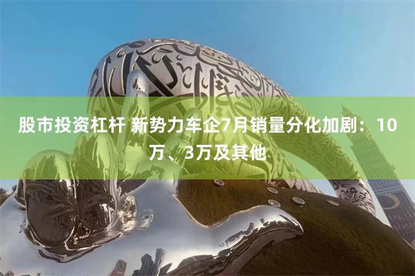 股市投资杠杆 新势力车企7月销量分化加剧：10万、3万及其他