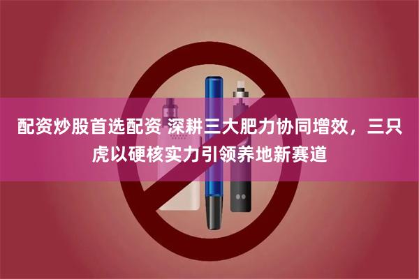 配资炒股首选配资 深耕三大肥力协同增效，三只虎以硬核实力引领养地新赛道