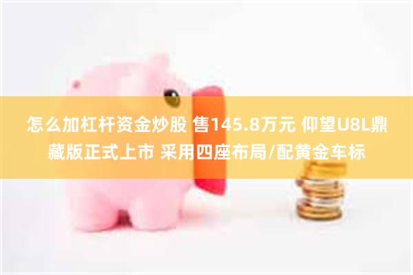 怎么加杠杆资金炒股 售145.8万元 仰望U8L鼎藏版正式上市 采用四座布局/配黄金车标
