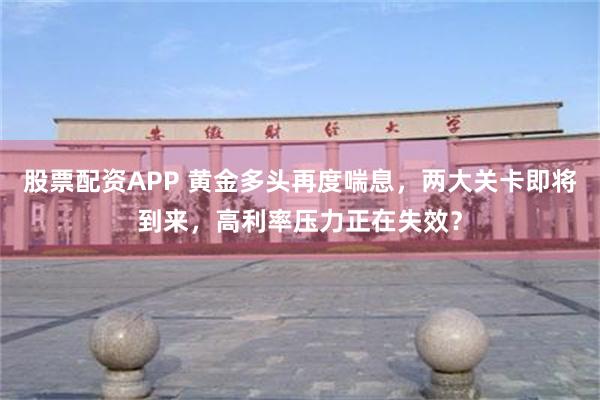 股票配资APP 黄金多头再度喘息，两大关卡即将到来，高利率压力正在失效？