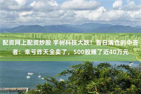 配资网上配资炒股 宇树科技大跌！首日清仓的中签者：幸亏昨天全卖了，500股赚了近40万元