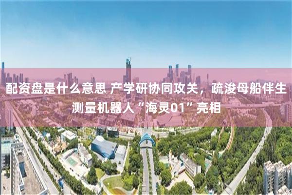 配资盘是什么意思 产学研协同攻关，疏浚母船伴生测量机器人“海灵01”亮相