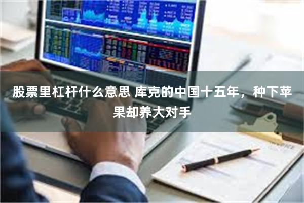 股票里杠杆什么意思 库克的中国十五年，种下苹果却养大对手