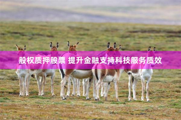股权质押股票 提升金融支持科技服务质效
