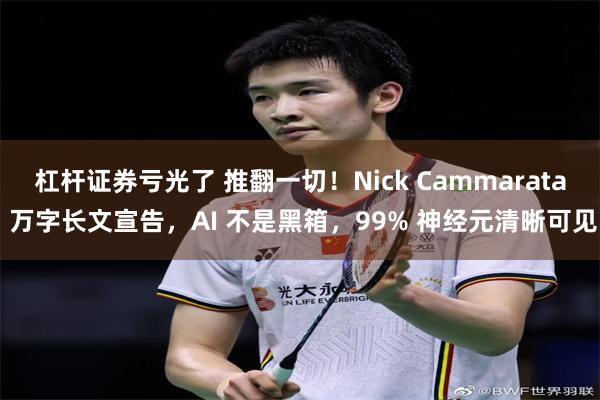 杠杆证券亏光了 推翻一切！Nick Cammarata 万字长文宣告，AI 不是黑箱，99% 神经元清晰可见