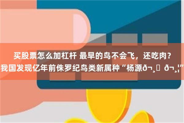 买股票怎么加杠杆 最早的鸟不会飞，还吃肉？我国发现亿年前侏罗纪鸟类新属种“杨源𬸚𬸦”